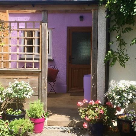 Cute Self-Contained Guest Room With Ensuite And Private Decked Porch In Glastonbury Eksteriør bilde